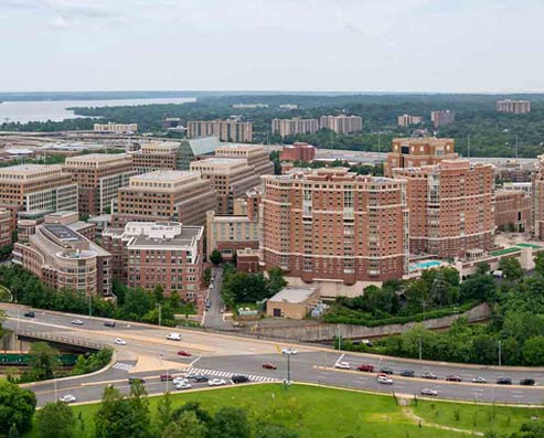 Welcome to Vitalité Chiropractic in Arlington VA
